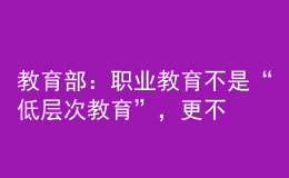 教育部：職業(yè)教育不是“低層次教育”，更不是“淘汰教育”