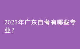 2023年廣東自考有哪些專業(yè)？ 