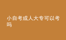小自考成人大?？梢钥紗?