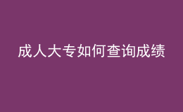 成人大專如何查詢成績(jī)