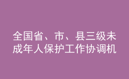 全國省、市、縣三級未成年人保護(hù)工作協(xié)調(diào)機(jī)制實(shí)現(xiàn)全覆蓋