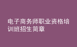 電子商務(wù)師職業(yè)資格培訓(xùn)班招生簡(jiǎn)章