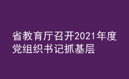 省教育廳召開2021年度黨組織書記抓基層黨建工作述職評(píng)議會(huì)議