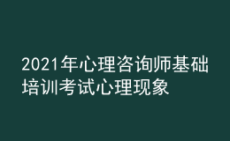 2021年心理咨詢師基礎培訓考試心理現(xiàn)象的學習經(jīng)驗