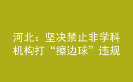 河北：堅決禁止非學科機構打“擦邊球”違規(guī)開展學科類培訓