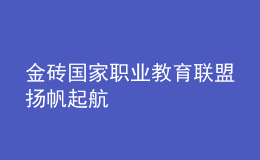 金磚國家職業(yè)教育聯(lián)盟揚(yáng)帆起航