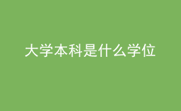 大學本科是什么學位